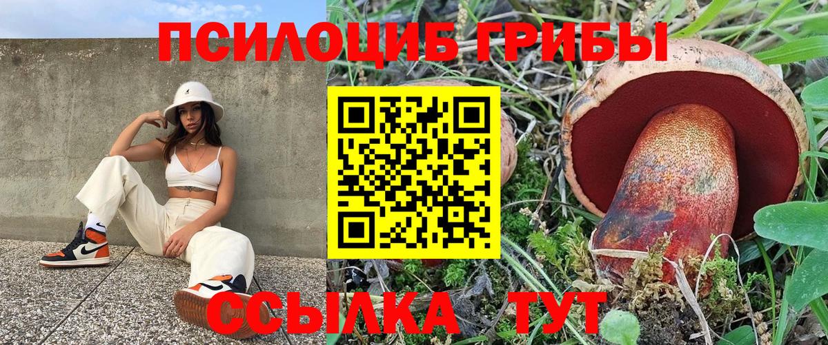 Галлюциногенные грибы прущие грибы Советск