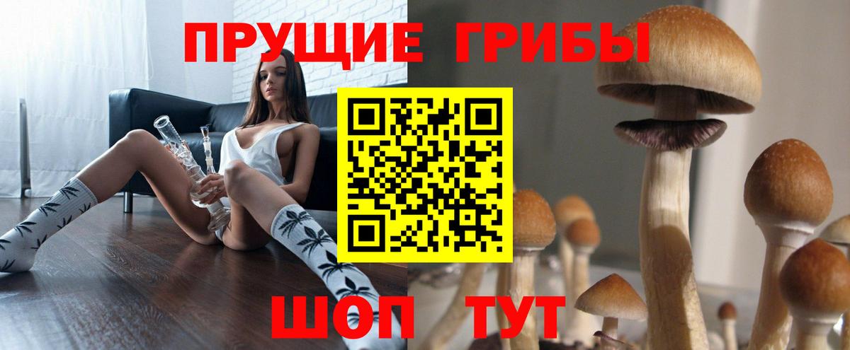 Советск  Галлюциногенные грибы Magic Shrooms  Вход с VPN 